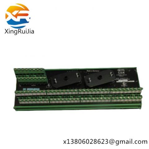 Moore 16169-1-07 SAM Standard Analog Module
