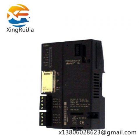 GE Fanuc IC200GB1001 Versamax PLC