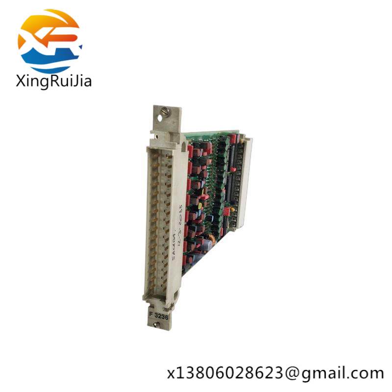 hima_f3236_984323602_1.jpg HIMA F3236 984323602