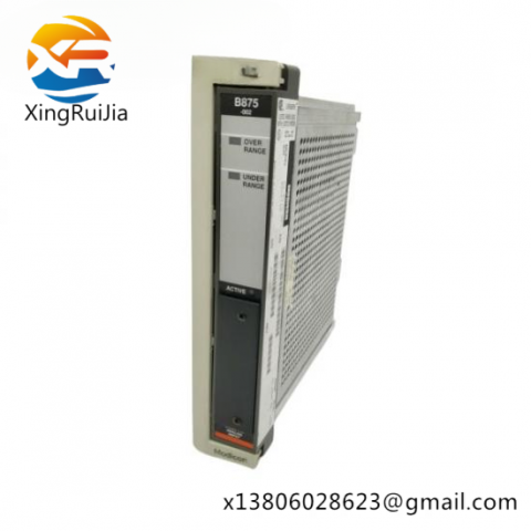 Modicon AS-B875-101 Analog Input