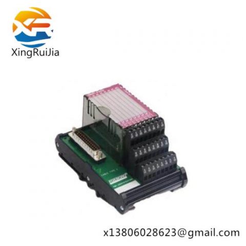P0916AA I/A Series Module Foxboro