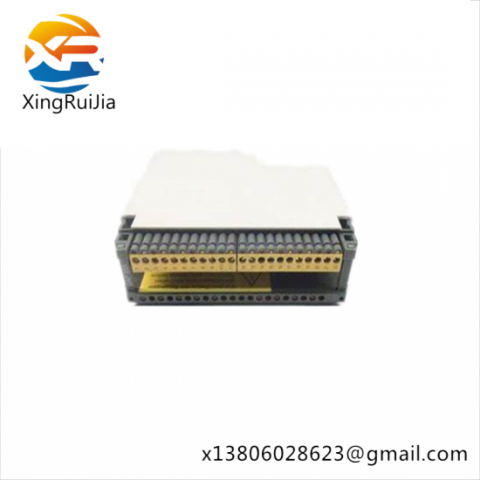 SCHNEIDER AS-BDAP-208 Discrete Output Relay