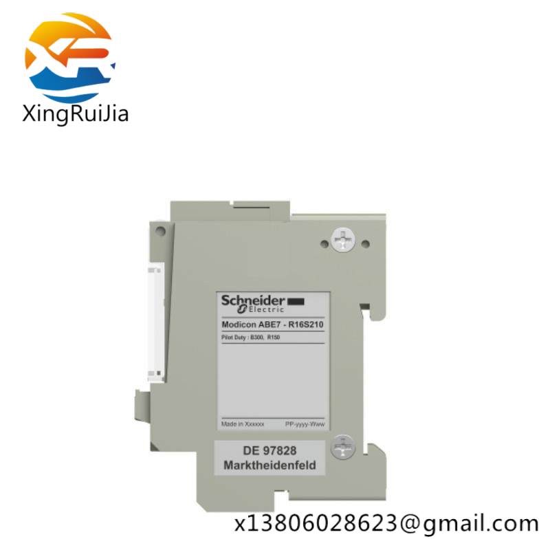 schneider_as-bdap-210_3.jpg SCHNEIDER AS-BDAP-210