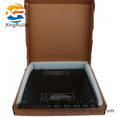 TRICONEX 9760-2 7300150-001