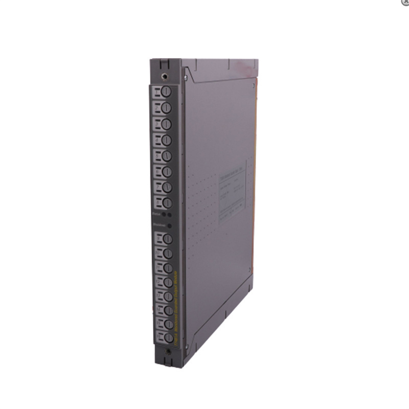 ICS TRIPLEX T8431